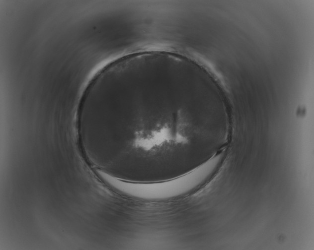 X0000094941174200712131553