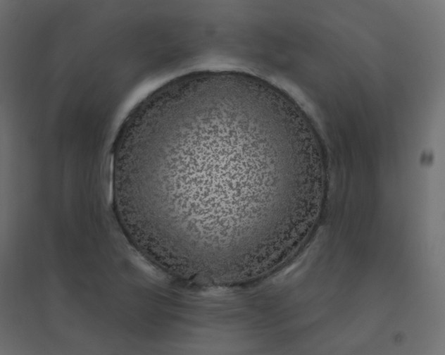 X0000094941175200712131553