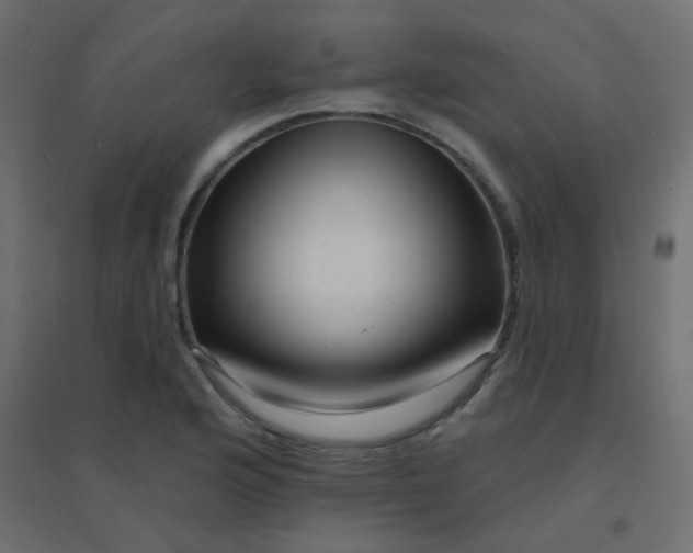 X0000094941176200712131553