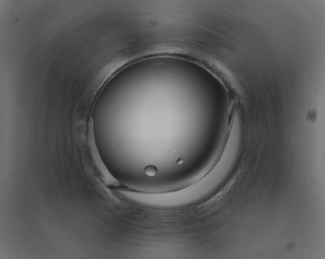 X0000094941177200712131553