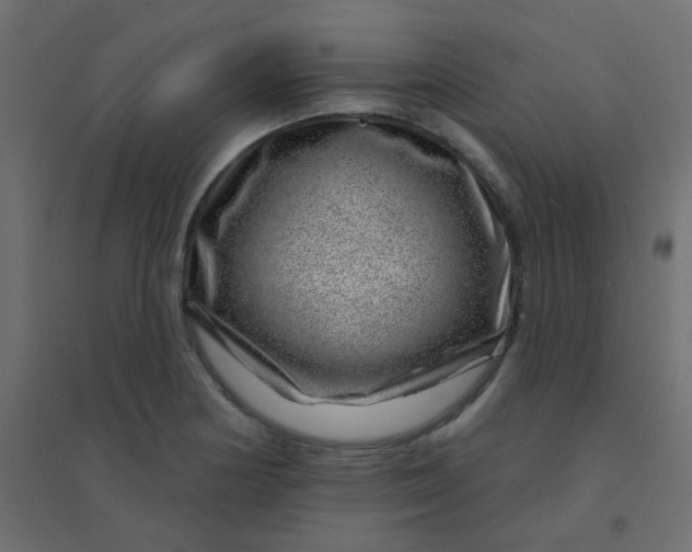 X0000094941178200712131553