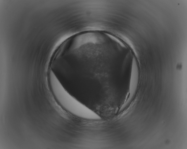 X0000094941179200712131553