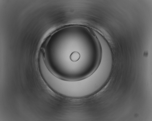 X0000094941180200712131553