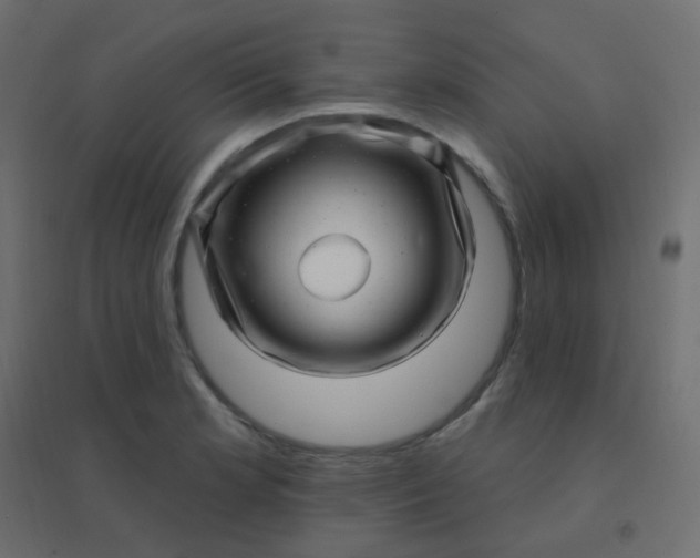 X0000094941181200712131553