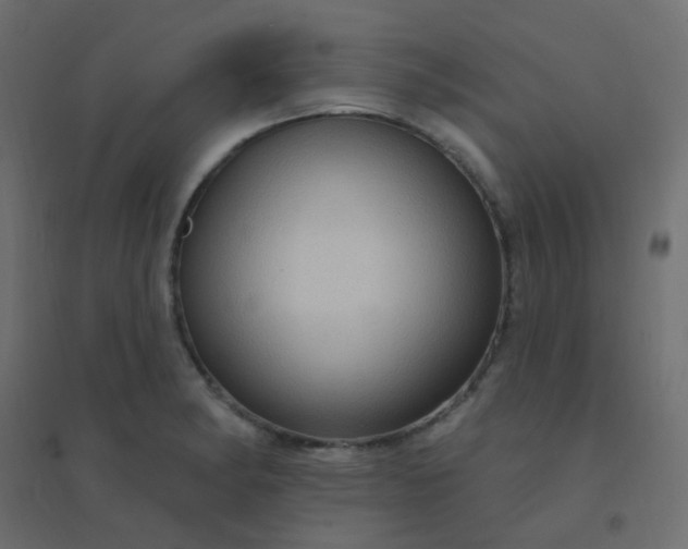 X0000094941182200712131553