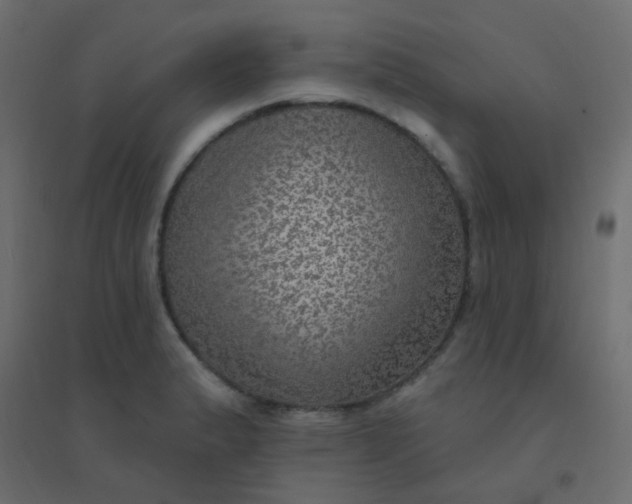 X0000094941183200712131553