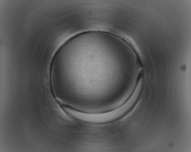 X0000094941184200712131553