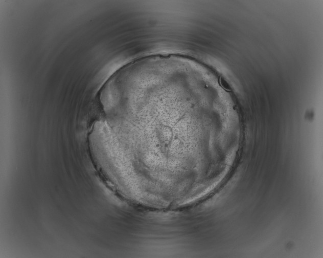 X0000094941185200712131553