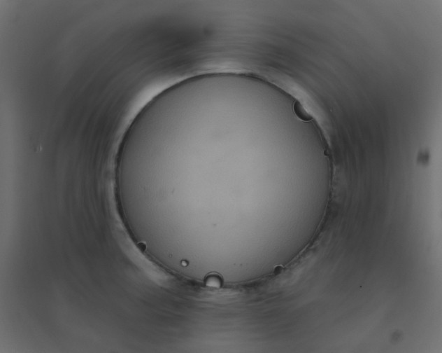 X0000094941187200712131553