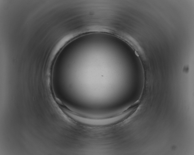 X0000094941188200712131553