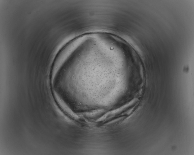 X0000094941189200712131553