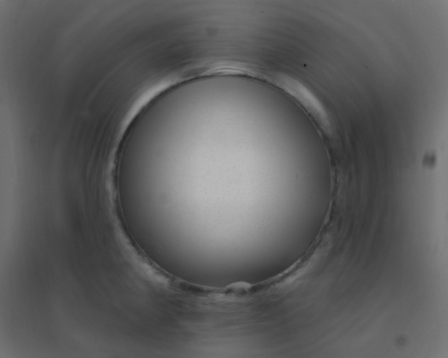 X0000094941190200712131553