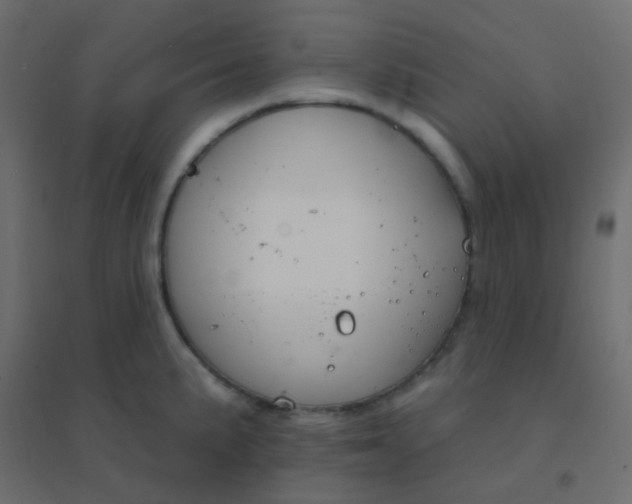 X0000094941191200712131553