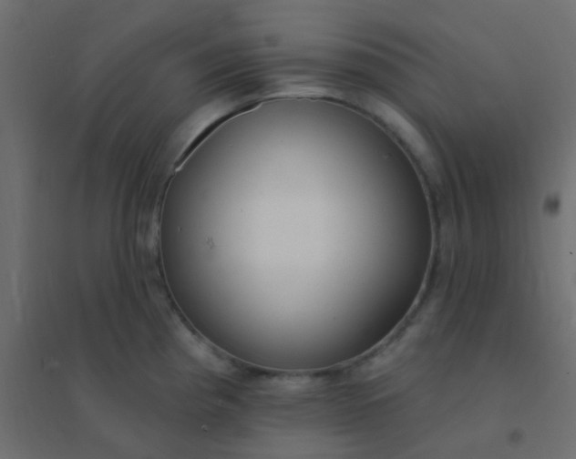 X0000094941193200712131553