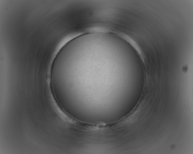 X0000094941195200712131553