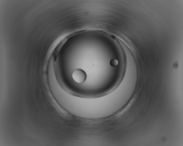 X0000094941196200712131553