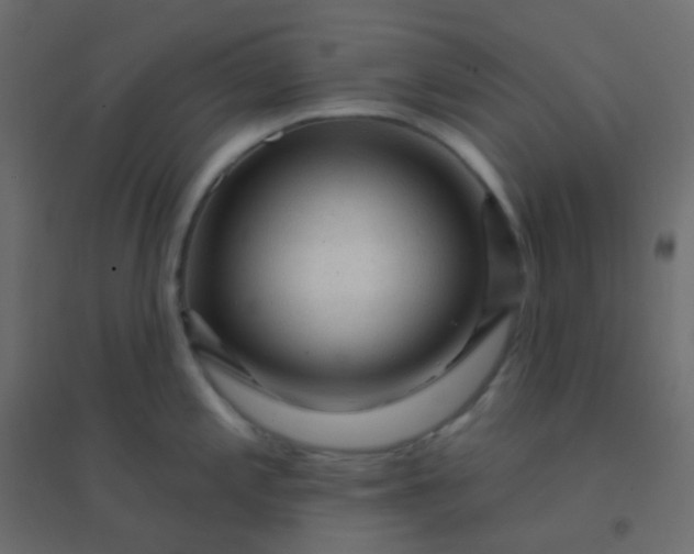 X0000094941197200712131553