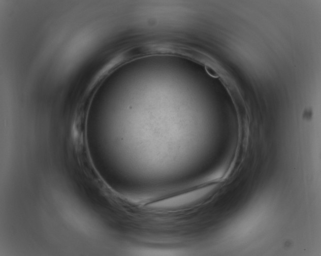 X0000094941198200712131553