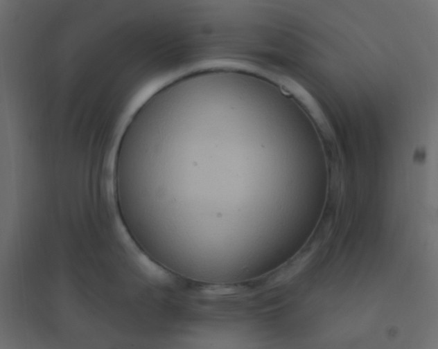 X0000094941199200712131553