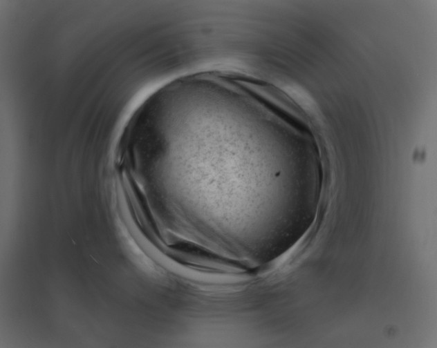 X0000094941200200712131553