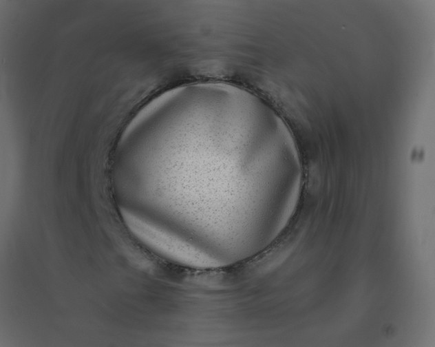 X0000094941201200712131552