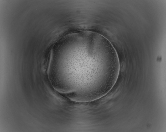 X0000094941202200712131552