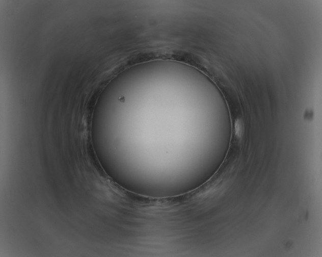 X0000094941203200712131552