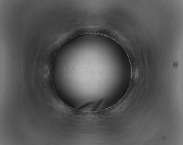 X0000094941204200712131552