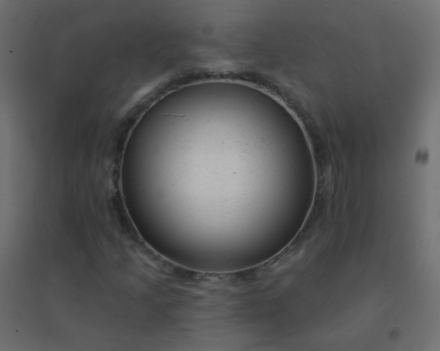 X0000094941205200712131552