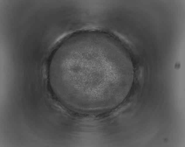 X0000094941206200712131552