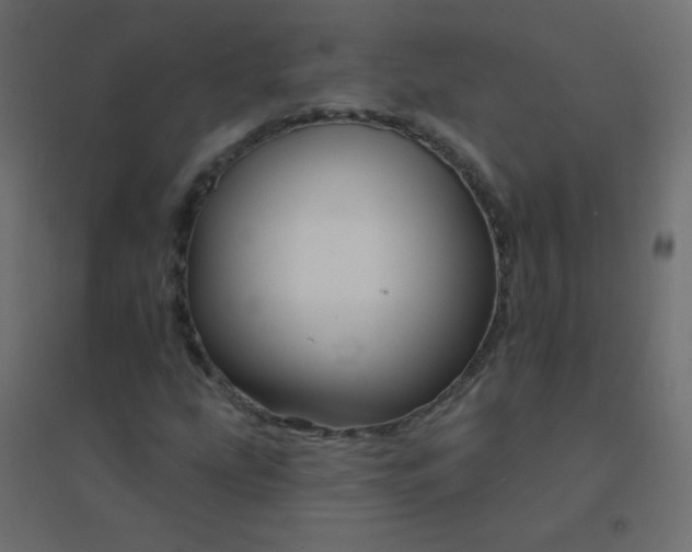 X0000094941207200712131552