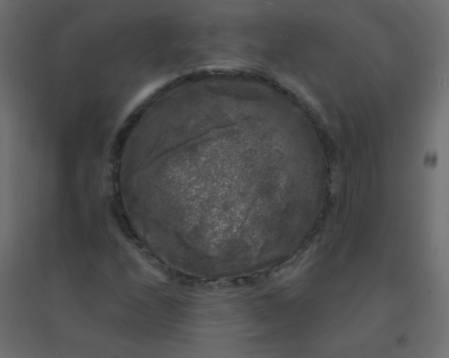 X0000094941208200712131552