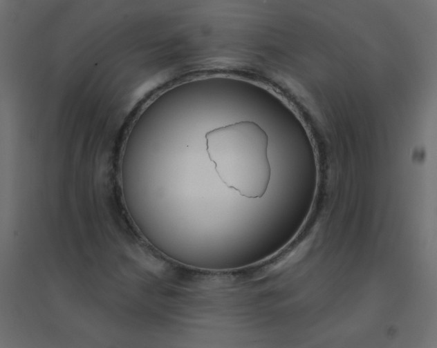 X0000094941210200712131552