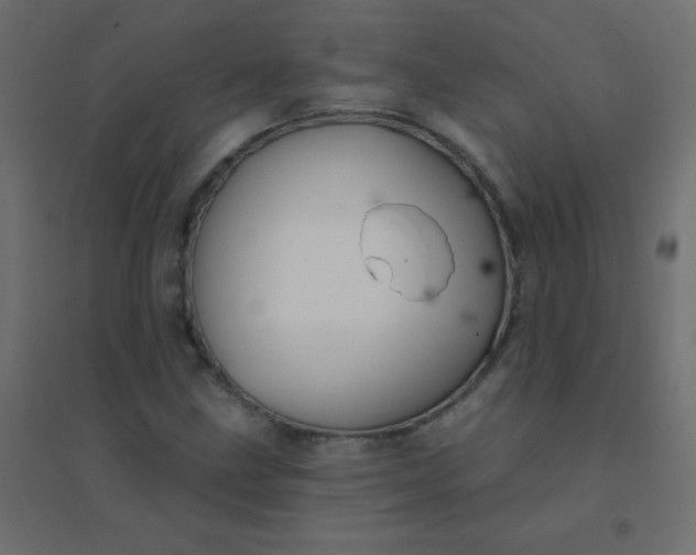 X0000094941211200712131552