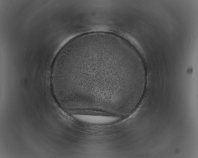 X0000094941212200712131552