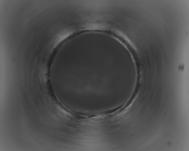 X0000094941213200712131552