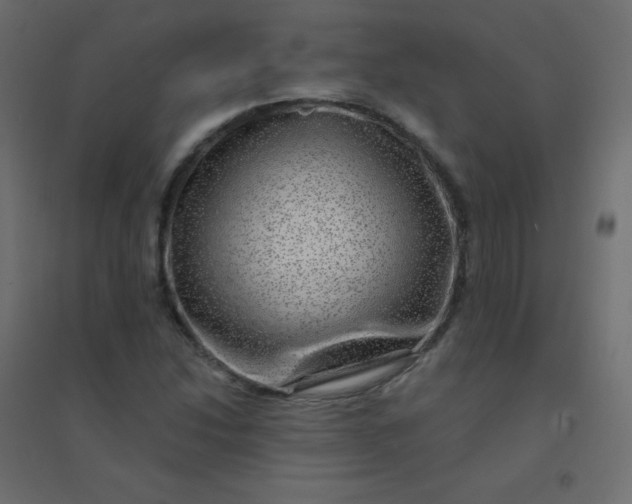 X0000094941214200712131552