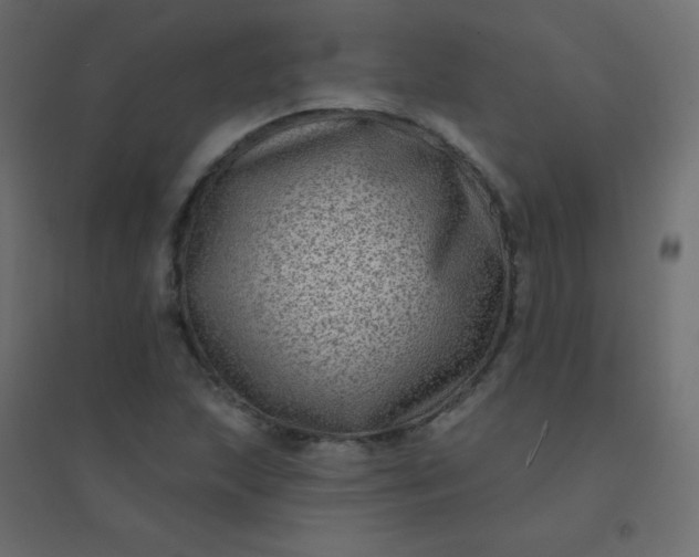 X0000094941215200712131552