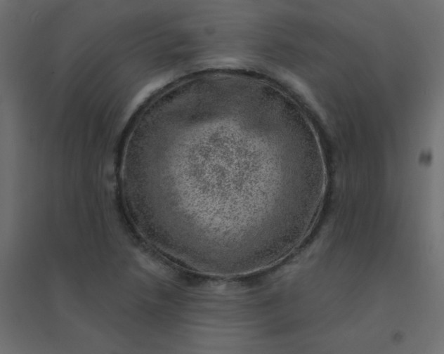 X0000094941218200712131552