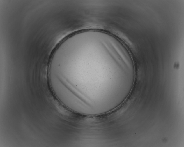 X0000094941220200712131552