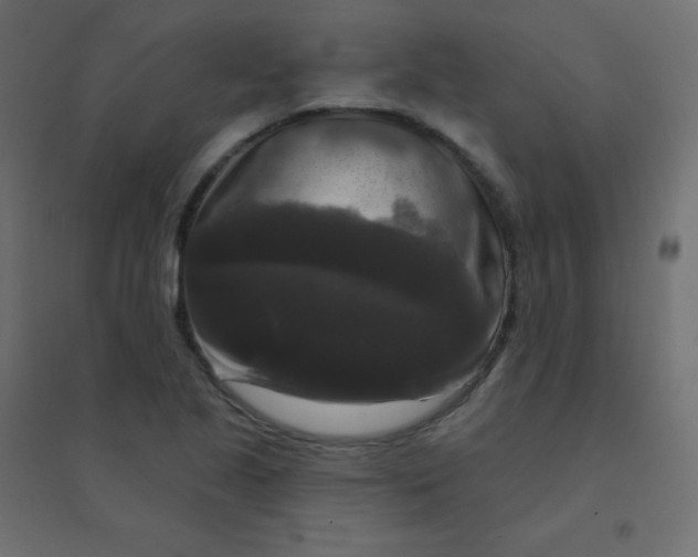 X0000094941221200712131552