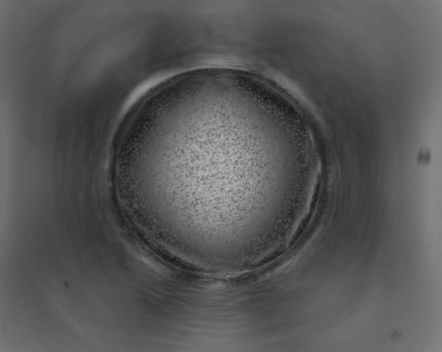 X0000094941222200712131552