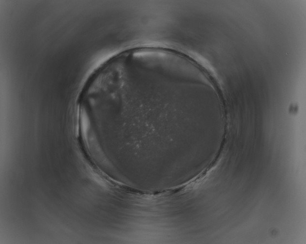 X0000094941223200712131552