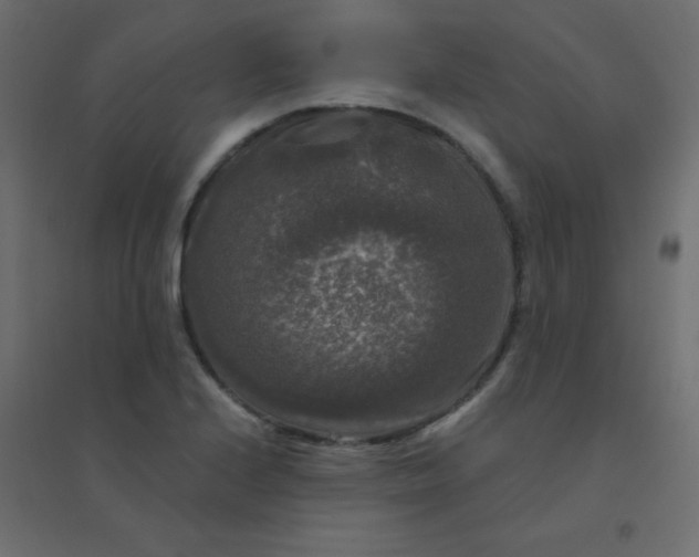 X0000094941224200712131552