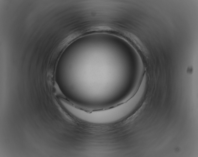 X0000094941225200712131552