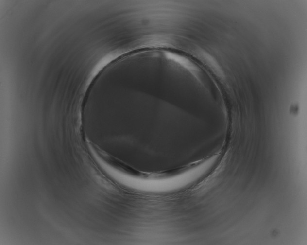 X0000094941226200712131552