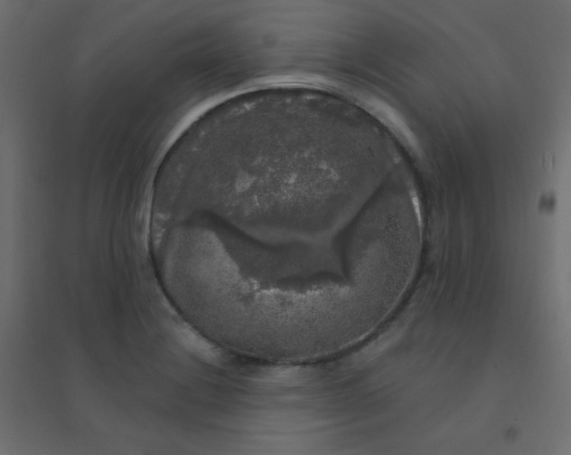 X0000094941228200712131552