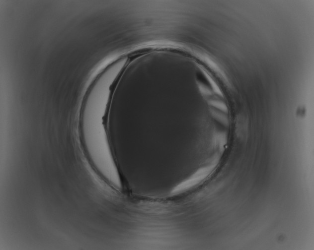 X0000094941229200712131552