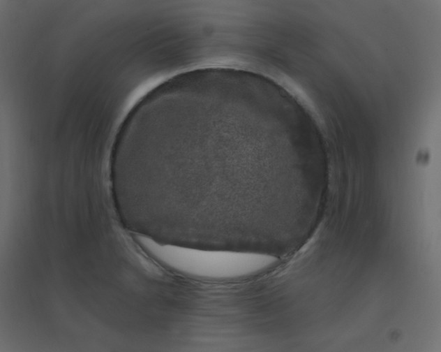 X0000094941230200712131552