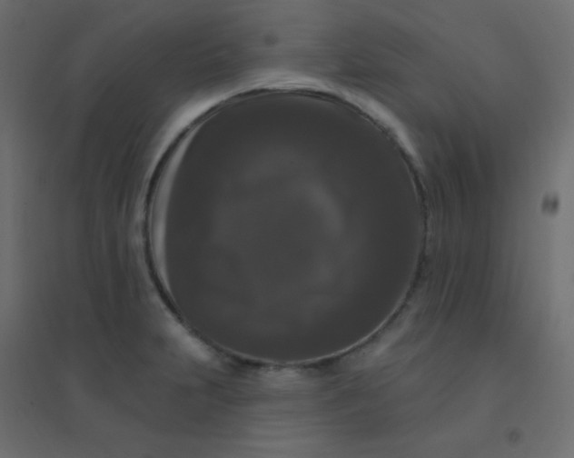 X0000094941231200712131552